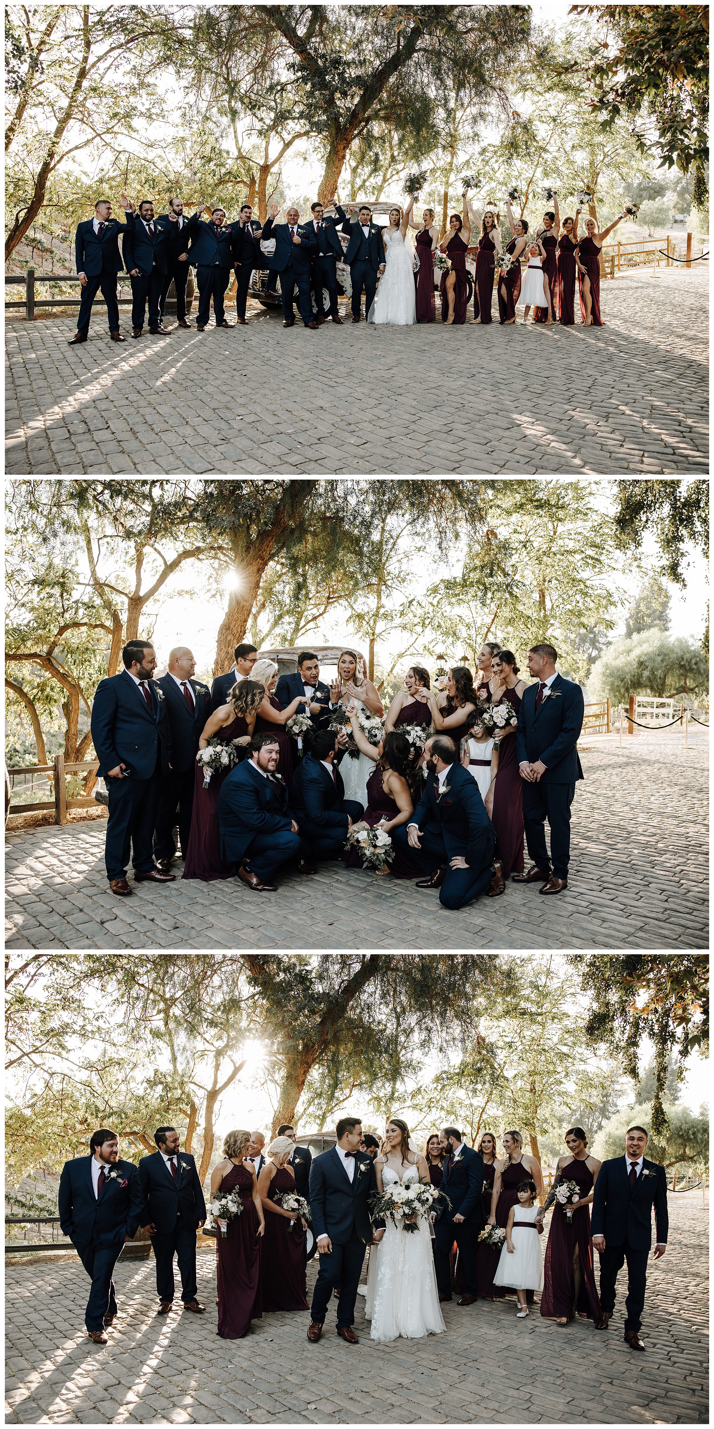 wedding party photos