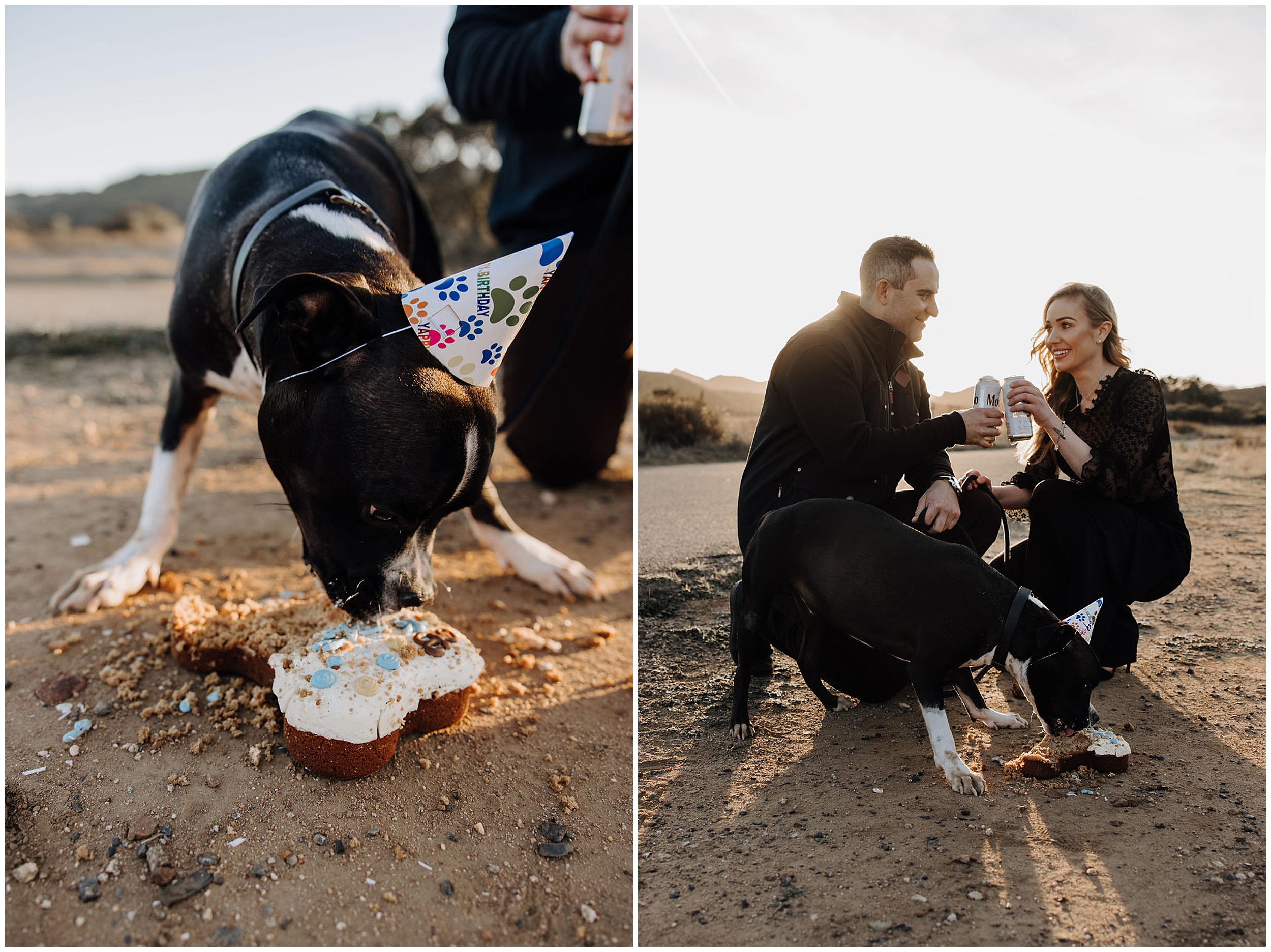 dog birthday cake smash